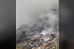 Çöp döküm alanındaki yangın ormana sıçradı