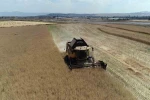 Çorum’da çiftçinin talebiyle planlı üretime alınan kanolada ilk hasat sevinci