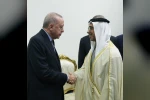 Cumhurbaşkanı Erdoğan, BAE Devlet Başkan Yardımcısı Al Nahyan ile görüştü