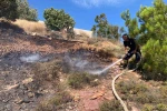 Cunda Adası’nda orman yangını