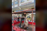 Çüngüş’te 100 kiloluk turna balığı yakalandı