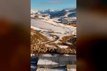 Dağın huzuru, emeğin sesi: İliç’te küçükbaş hayvancılık
