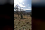 Dağlık alanda kaybolan genci jandarma buldu