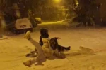 Darende’de kar yağışıyla gelen eğlence