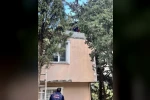 Defne’de ağaçta mahsur kalan kediyi itfaiye kurtardı