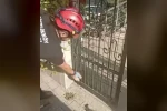 Demir kapıya sıkışan kirpiyi böyle kurtardılar