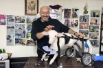 Demir ustası felçli canlara ’umut’ oluyor: 9 yılda bin hayvanı ayağa kaldırdı