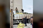 Demirözü’nde 210 çiftçiye tarımsal destek sağlandı
