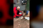 Denizde can mücadelesi: Martıyı 911 ekipleri kurtardı