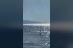 Denizde dubaların dışına çıkan baba ve iki kızı ölüm tehlikesi atlattı