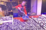 Denizlerde bollaşan hamsi tezgahlarda 100 TL’ye yer buldu