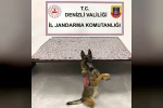 Denizli’de jandarma uyuşturucu tacirlerine geçit vermiyor