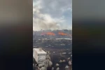 Denizli’de yangında arılar telef oldu