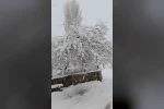 Denizli’nin yüksek kesimleri baharda beyaza büründü