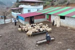 Depremzede besici devlet desteğiyle hayata tutundu
