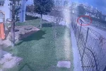 Dereye uçan kamyonetin sürücüsü hayatını kaybetti
