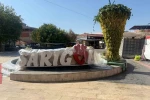 Dev üzüm salkımı festivale damga vurdu