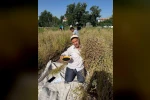 Develi’de çörek otu hasadına başlandı
