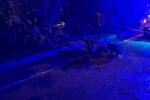 Devrilen motosiklet sürücüsü öldü