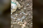 Devriye gezen jandarma son anda fark etti, bir hayat kurtuldu