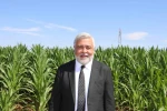 Dicle Elektrik Genel Müdürü Arvas: "Bölgede sorun elektrik değil, sulama"