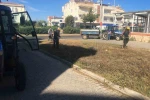 Didim Belediyesi yeşil alanlarda bakım çalışmalarını sürdürüyor