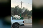 Didim’de halk sağlığı için ilaçlama seferberliği