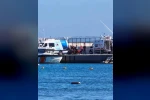 Didim’de kaybolan astsubayın cansız bedenine ulaşıldı