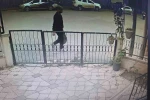 Didim’de "polisiz" diyerek dolandırdılar, kaçarken kaza yapınca yakalandılar
