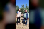 Didim’de zeytin üreticilerine zararlı uyarısı
