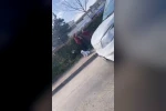 Dilenci kadınların kavgası kamerada: Kucağındaki bebek yere düştü
