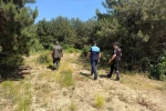 Dilovası’nda orman yangınlarına karşı sıkı denetim