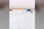 Diyadin’de Eylül’de yağan kar köyü beyaza bürüdü