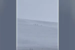 Diyadin’de kurt sürüsü görüldü