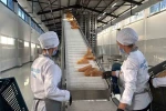 Diyarbakır’da 100 bin kapasiteli Halk Ekmek fabrikası açıldı