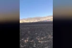 Diyarbakır’da 100 dönümlük alan alevlere teslim oldu