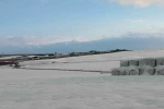 Diyarbakır’da 12 fabrikanın çatısı çöktü