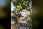 Diyarbakır’da 15 dönüme yakın ormanlık alan yandı