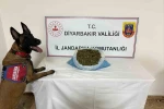 Diyarbakır’da 23 kilo esrar ele geçirildi