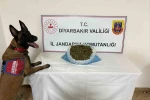 Diyarbakır’da 41 kilo esrar ele geçirildi