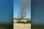 Diyarbakır’da ağaçlık alanda yangın