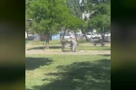 Diyarbakır’da amcalar yaşlarına aldırış etmeden parkta mekik çekti
