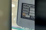Diyarbakır’da görenleri şaşırtan böcek: Sırtında adeta yüz var