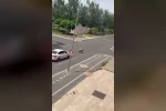 Diyarbakır’da kaçan kurbanlık trafiğin altını üstüne getirdi 