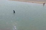 Diyarbakır’da kayıp şahsı arama çalışmaları üçüncü gününde