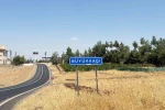 Diyarbakır’da kedinin ısırdığı çocuk entübe edildi, testlerde kuduz çıktı