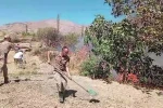 Diyarbakır’da korkutan yangın