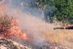 Diyarbakır’da örtü ve orman yangını