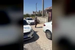 Diyarbakır’da yanlış okula giden öğrenci, 1 dakika kala sınava yetiştirildi