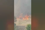 Diyarbakır’da yerleşim alanında çıkan yangın paniğe neden oldu